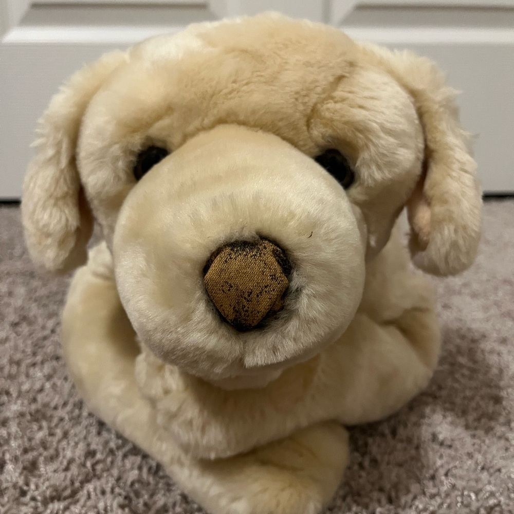 Vintage Kids preferred yellow lab